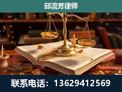 崇左-刑事案件