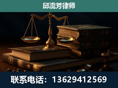 崇左-刑事案件